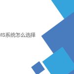 wms系統(tǒng)怎么選擇？