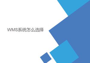 wms系統(tǒng)怎么選擇？